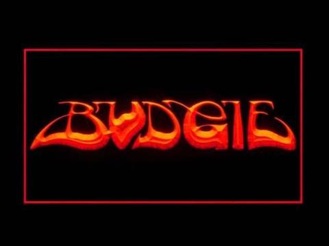 Budgie LED Neon Sign